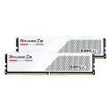 G.Skill Ripjaws S5 F5-5200J4040A24GX2-RS5W memory module 48 GB 2 x 24 GB DDR5 5200 MHz