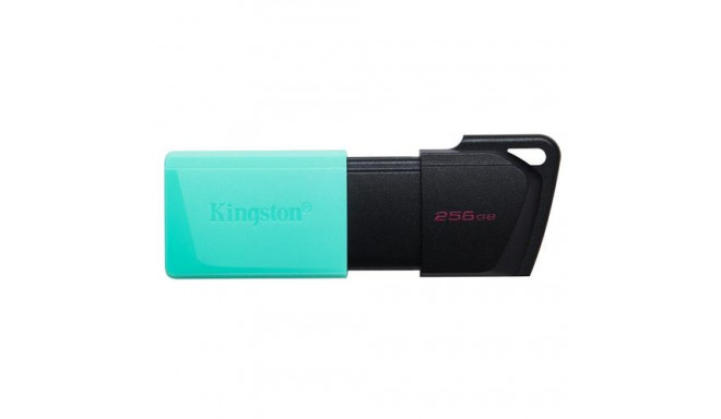 Kingston Technology DataTraveler 256GB USB3.2 Gen1 Exodia M (Black + Teal)