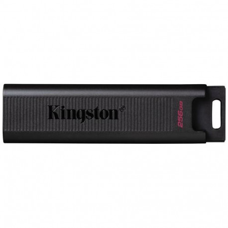 Kingston Technology DataTraveler 256GB Max 1000R/900W USB 3.2 Gen 2