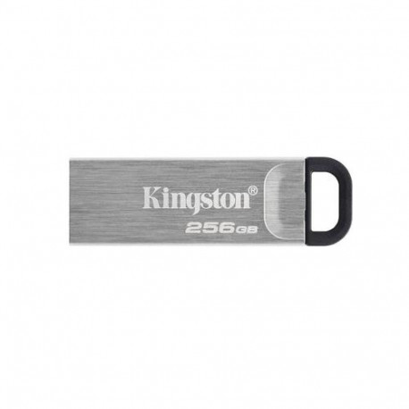 Kingston Technology DataTraveler 256GB Kyson USB Flash Drive