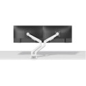 Neomounts DS70-250WH2 Monitor arm 17-32&quot; - gas spring - Topfix - 180°-stop