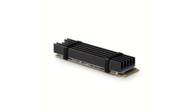 Axagon CLR-M2L10 computer cooling system M.2 NVMe SSD, Solid-state drive Heatsink/Radiatior Black 1 