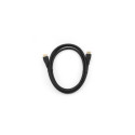 Gembird DisplayPort, 1 m Black