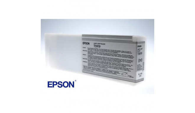 Epson Singlepack Light Light Black T591900