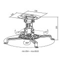 LogiLink BP0057 project mount Ceiling White