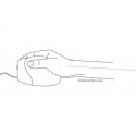 BakkerElkhuizen Evoluent4 mouse Office Left-hand Laser 2600 DPI