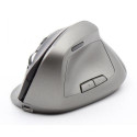 ORDISSIMO ART0391 mouse Office Right-hand RF Wireless Optical 1600 DPI