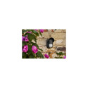 Yale Outdoor Motion Sensor Infrared sensor Wireless Wall Black