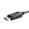 Akasa AK-CBDP04-20BK video cable adapter 0.2 m VGA (D-Sub) DisplayPort Black