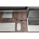 Digitus USB Type-C Gen 2 adapter / converter cable, Type-C to DP