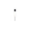 Paulmann 94518 outdoor lighting Outdoor wall/ceiling lighting Non-changeable bulb(s) LED 5.6 W F