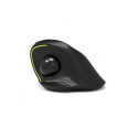 Port Designs 900719 mouse Office Right-hand RF Wireless + Bluetooth Optical 1600 DPI