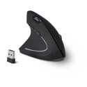 Inter-Tech KM-206L mouse Office Ambidextrous RF Wireless Optical 1600 DPI