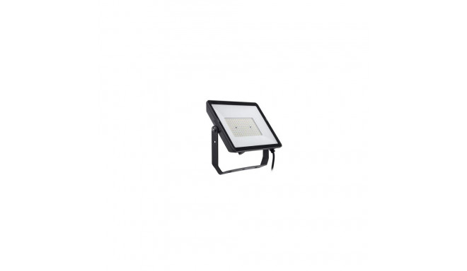 Philips Floodlight