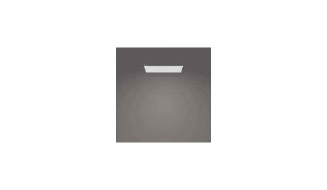 Philips Functional Panel Ceiling Ceiling Light 36 W Rectangular