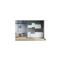 Whirlpool WIS 7020 PEF Fully built-in 14 place settings E