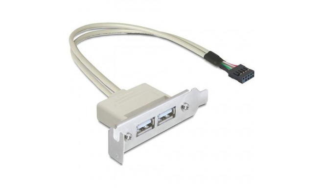 DeLOCK 0.5m Slotblech USB 2.0
