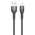 2GO 797305 lightning cable 1 m Black