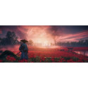 Sony Ghost of Tsushima Director&#039;s Cut Standard+Add-on+DLC PlayStation 4