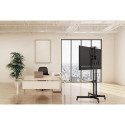 Equip Economy Multi-functional TV Cart