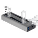 DeLOCK External 5 Gbps USB Hub with 10 Ports + Switch