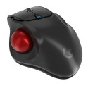 KeySonic KSM-6101RF-EGT mouse Office Right-hand RF Wireless 1000 DPI