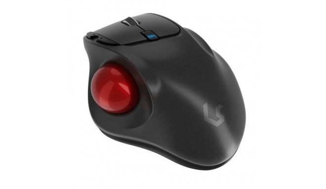 KeySonic KSM-6101RF-EGT mouse Office Right-hand RF Wireless 1000 DPI