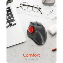 KeySonic KSM-6101RF-EGT mouse Office Right-hand RF Wireless 1000 DPI