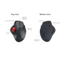 KeySonic KSM-6101RF-EGT mouse Office Right-hand RF Wireless 1000 DPI