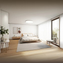 Xiaomi laelamp Smart Ceiling Light D40 45W