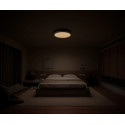 Xiaomi Smart Ceiling Light D30 30W