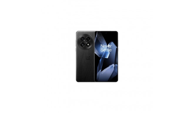OnePlus 13 5G 12GB/256GB, black (EU) 17.3 cm (6.82&quot;) Dual SIM Android 15 USB Type-C 6000 mA