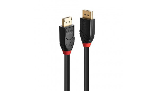 Lindy 10m Active DisplayPort 1.4 Cable