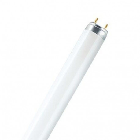 Osram LUMILUX T8 fluorescent bulb 58 W G13 Warm white