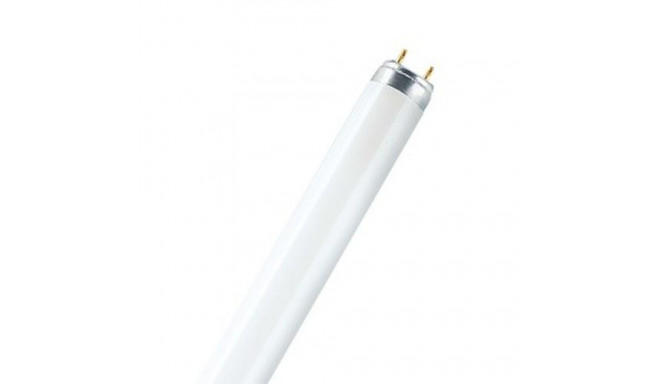 Osram LUMILUX T8 fluorescent bulb 58 W G13 Warm white