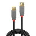 Lindy 1m USB 3.2 Type A Extension Cable, 5Gbps, Anthra Line