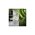 Intenso SUPER SPEED USB 3.2 32GB (TYPE A) - 32 GB USB flash drive USB Type-A 3.2 Gen 1 (3.1 Gen 1) B