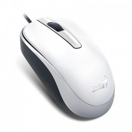 Genius Computer Technology DX-120 mouse Office Ambidextrous USB Type-A Optical 1000 DPI