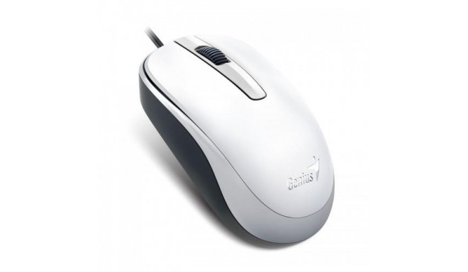 Genius Computer Technology DX-120 mouse Office Ambidextrous USB Type-A Optical 1000 DPI