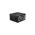 MSI MAG A1250GL PCIE5 power supply unit 1250 W 24-pin ATX 1U Black