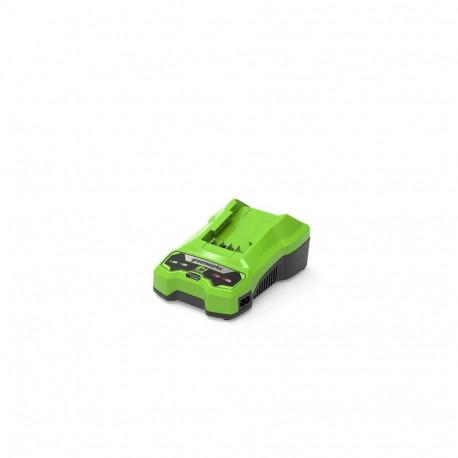 Greenworks 2932407 cordless tool battery / charger Battery charger