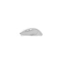 Trust Nito mouse Universal Right-hand RF Wireless Optical 2200 DPI