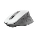 Trust Ozaa mouse Office Right-hand RF Wireless Optical 2400 DPI