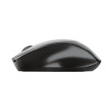 Trust Zaya mouse Office Ambidextrous RF Wireless Optical 1600 DPI