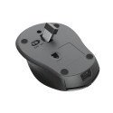 Trust Zaya mouse Office Ambidextrous RF Wireless Optical 1600 DPI