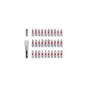 Einhell 49118693 screwdriver bit 30 pc(s)