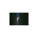 Brennenstuhl 1173750004 flashlight Black Hand flashlight LED