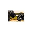 Sena 10S-02D motorcycle intercom 4 channels 1600 m Black