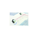 Laserliner SuperLine 2D Line level