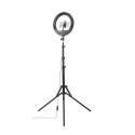 Hama SpotLight Steady 120 II lighting ring 160 LED